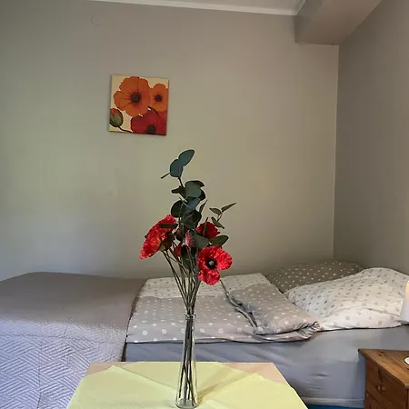 Pensjonat Zielony Domek 3*